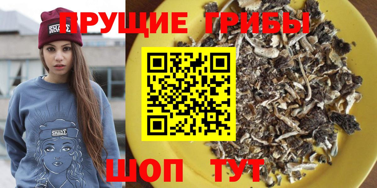 Биробиджан  где продают наркотики  Вход с VPN  Псилоцибиновые грибы мухоморы 