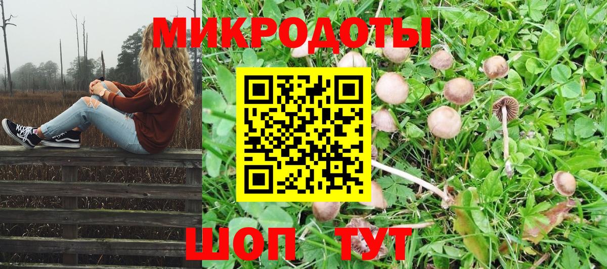 Псилоцибиновые грибы MAGIC MUSHROOMS Биробиджан